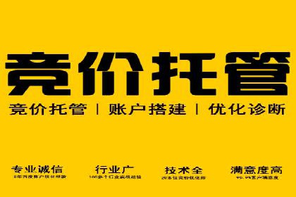 搜索引擎竞价推广：某行业领先企业的成功之路